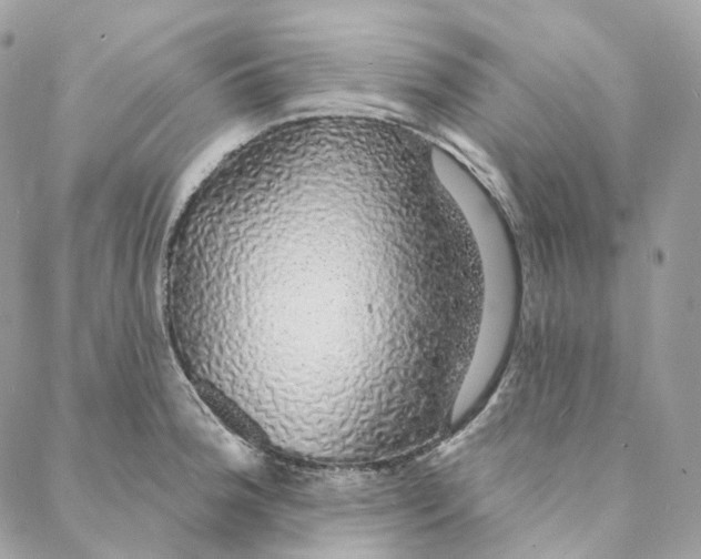 X0000088021188200706011316