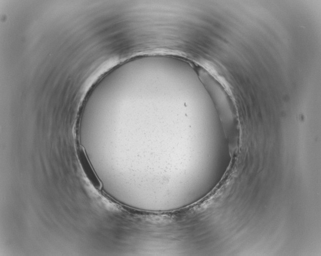 X0000088021189200706011316