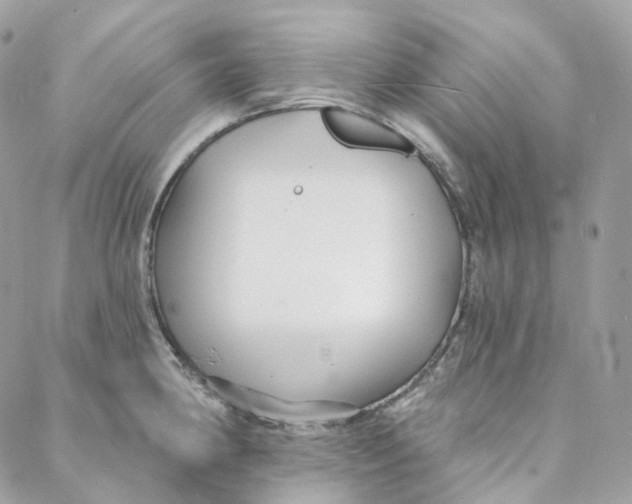 X0000088021190200706011316