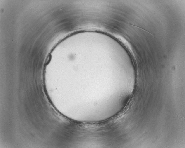 X0000088021191200706011316