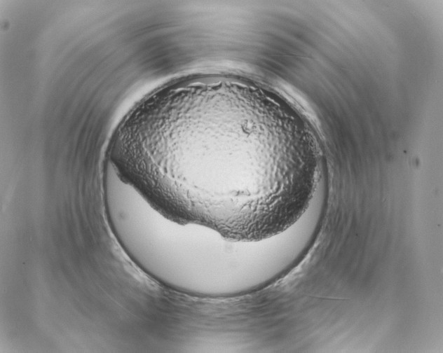 X0000088021192200706011316