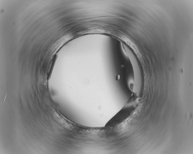 X0000088021193200706011316