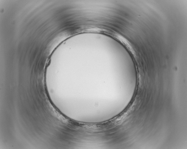 X0000088021194200706011316