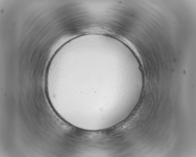 X0000088021195200706011316