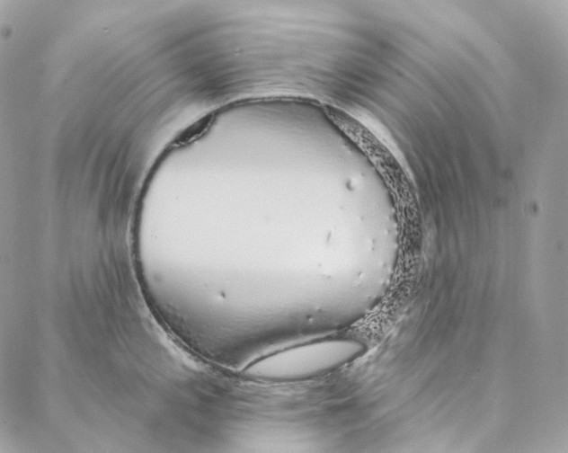 X0000088021197200706011316