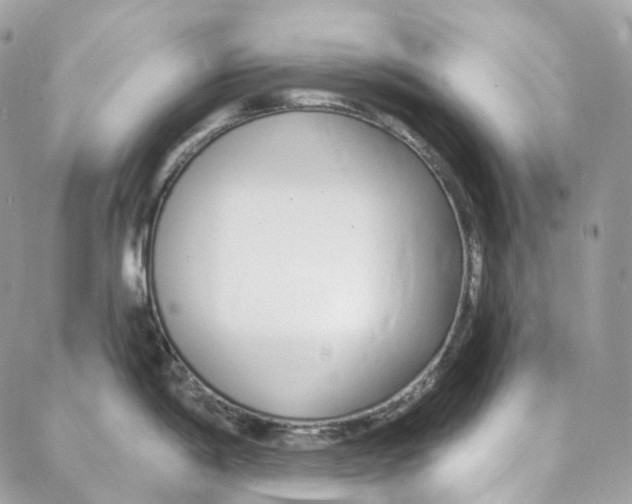 X0000088021198200706011316