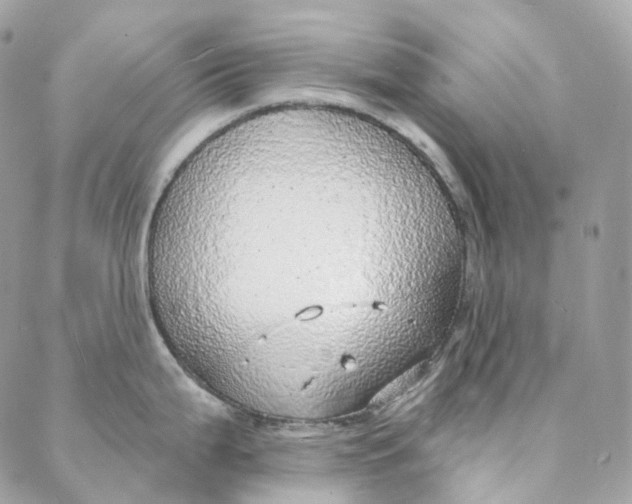 X0000088021199200706011316