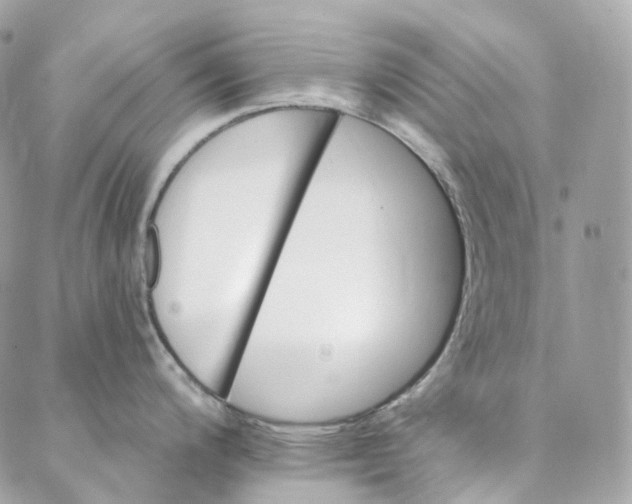 X0000088021200200706011316