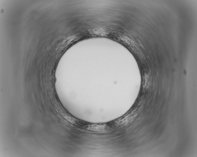 X0000088021201200706011315