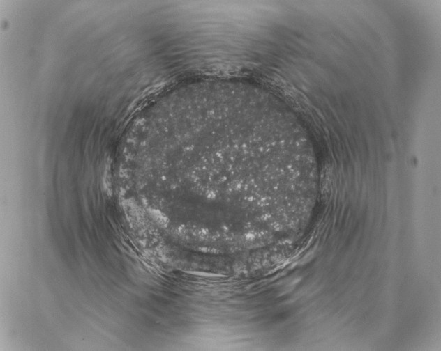 X0000088021202200706011315