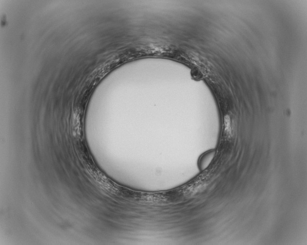 X0000088021203200706011316