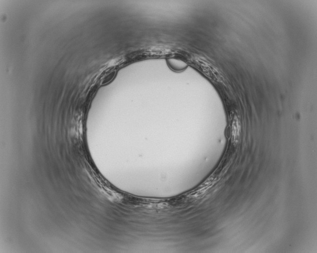 X0000088021204200706011316