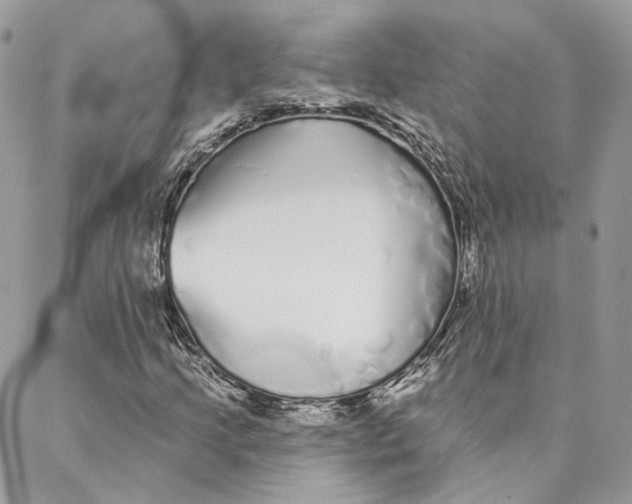 X0000088021205200706011316