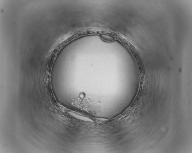 X0000088021207200706011316