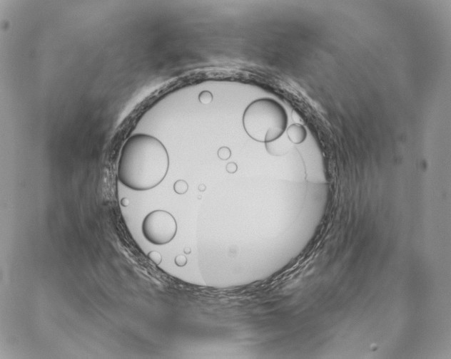 X0000088021208200706011316