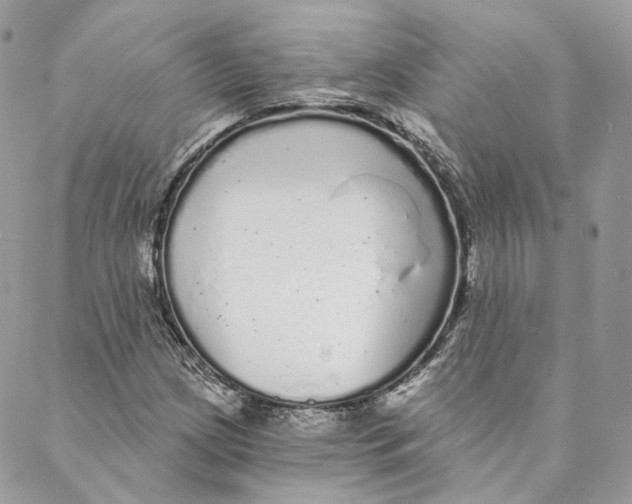 X0000088021209200706011316