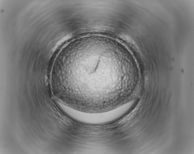 X0000088021210200706011316