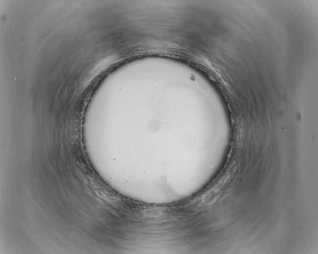 X0000088021211200706011316