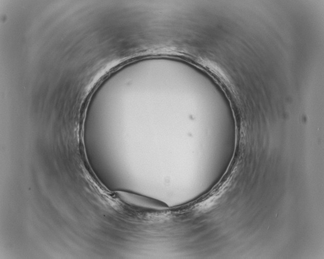 X0000088021212200706011316