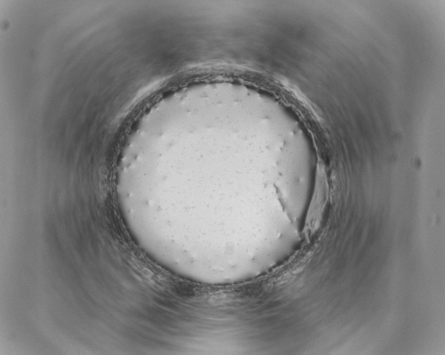 X0000088021213200706011316