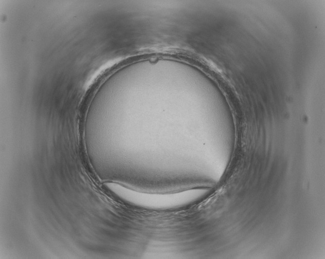 X0000088021214200706011316