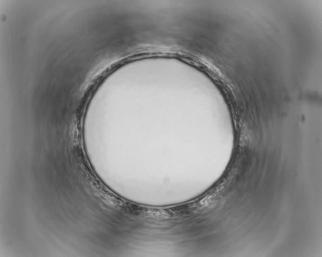 X0000088021215200706011316