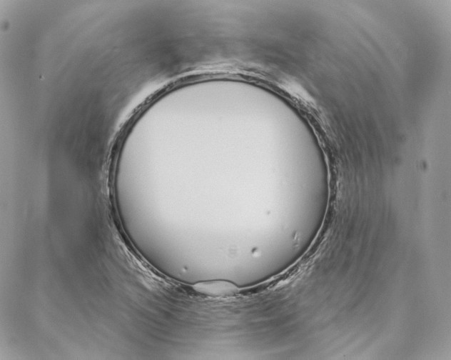 X0000088021216200706011316