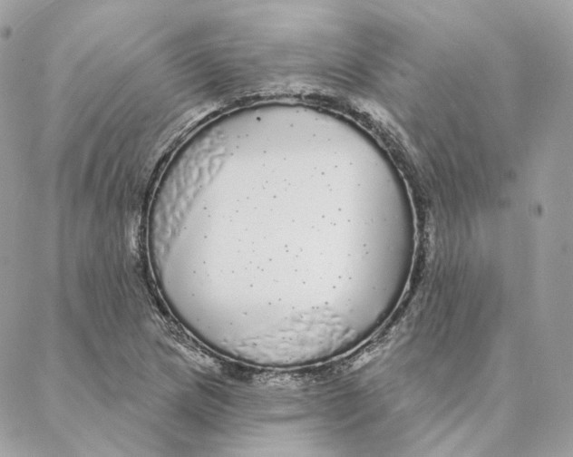 X0000088021217200706011316