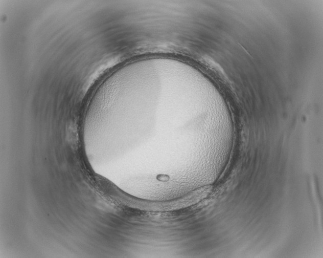 X0000088021218200706011316