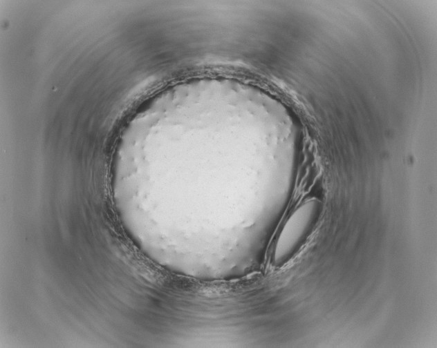 X0000088021219200706011316