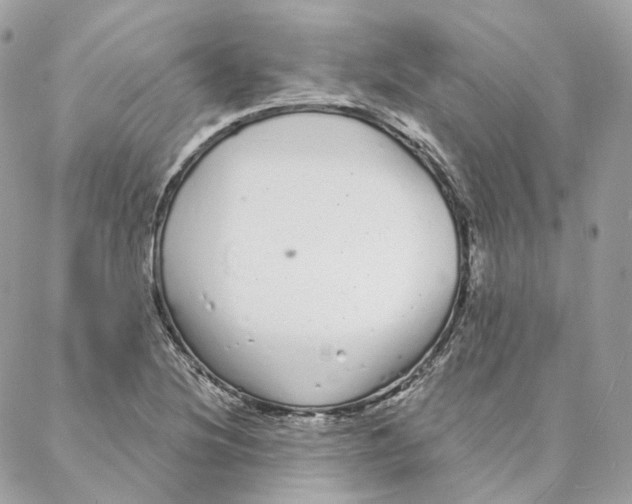 X0000088021220200706011316