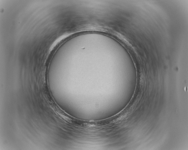 X0000088021222200706011316