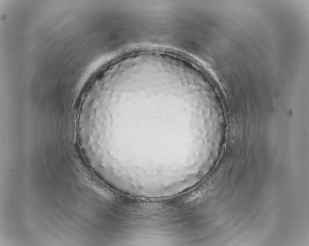 X0000088021223200706011316