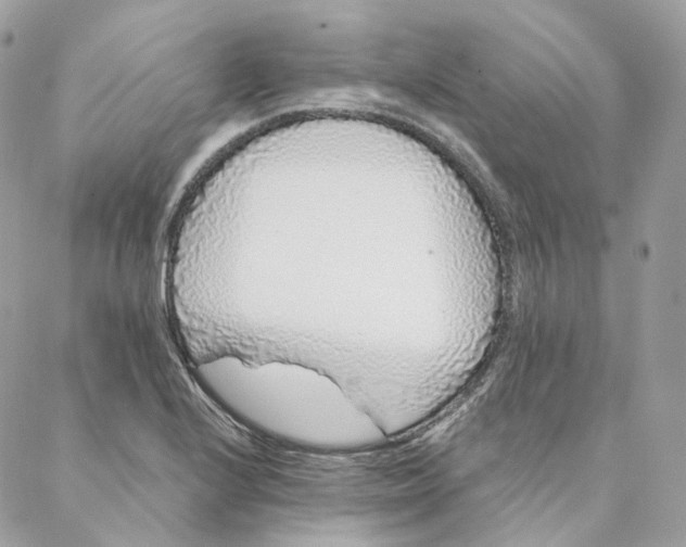 X0000088021224200706011316