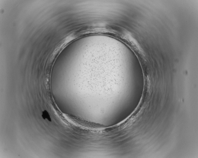 X0000088021225200706011316