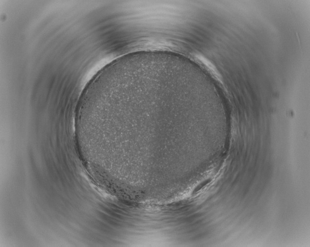 X0000088021226200706011316