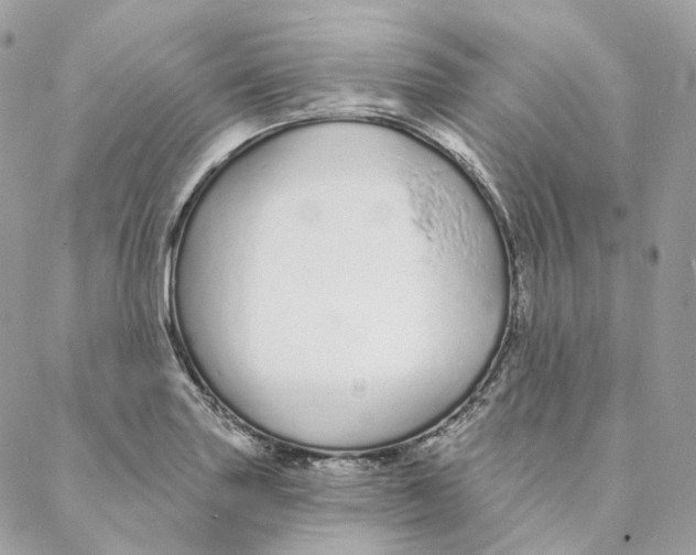 X0000088021227200706011316