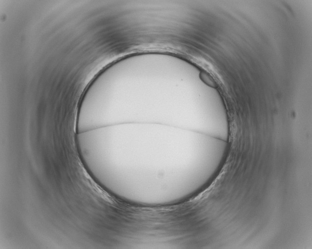 X0000088021228200706011316