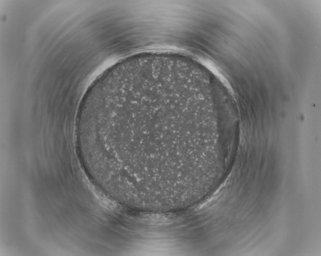 X0000088021229200706011316