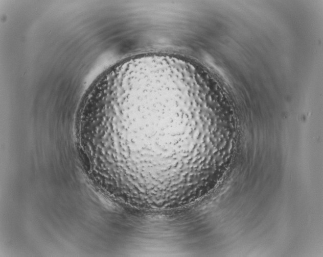 X0000088021230200706011316