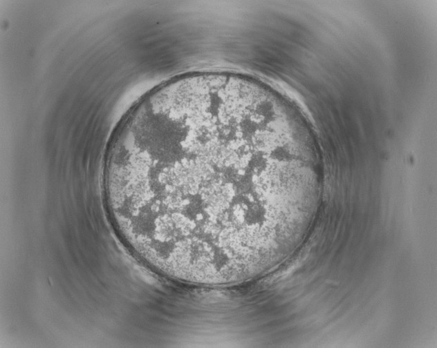 X0000088021231200706011316