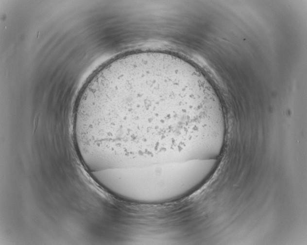 X0000088021232200706011316