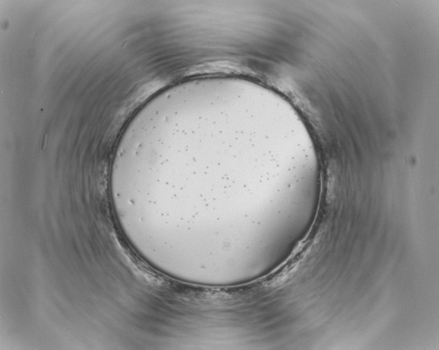 X0000088021233200706011316