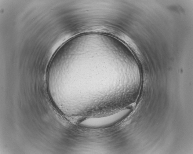 X0000088021234200706011316