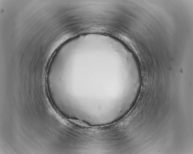 X0000088021235200706011316