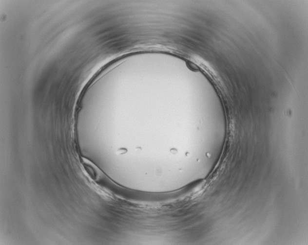 X0000088021236200706011316