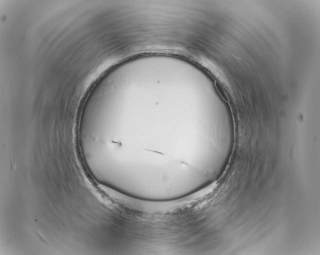 X0000088021237200706011316