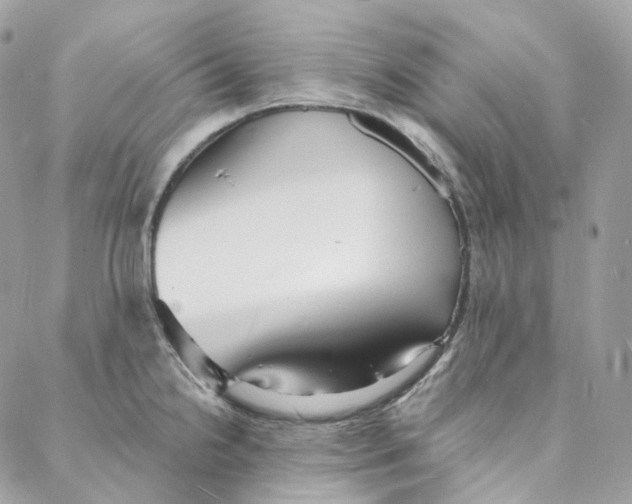 X0000088021238200706011316