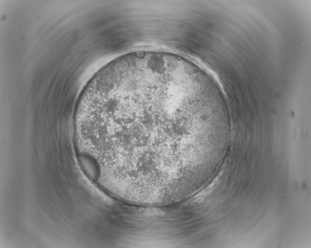 X0000088021239200706011316