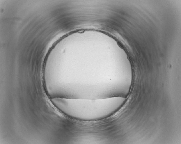 X0000088021240200706011316